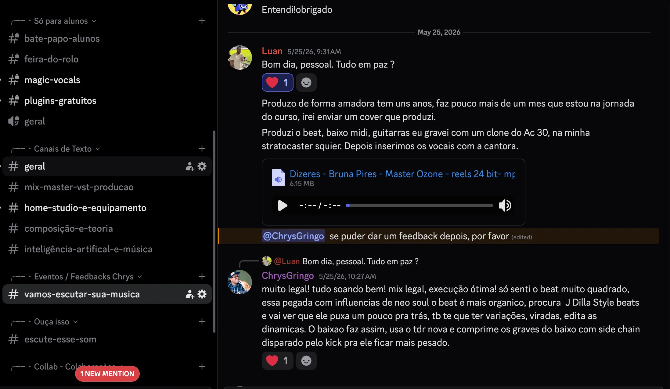 Suporte e contato constante comigo via Discord