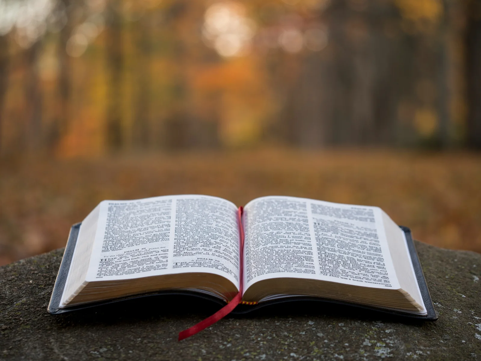 Bíblia aberta ao ar livre